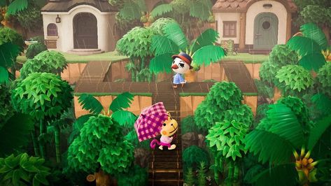 Bug Images, Animal Crossing Wild World, Island Theme, Tropical Animals, Animal Crossing Pocket Camp, New Animal Crossing, The Rainforest, Tropical Theme, Animal Crossing Qr