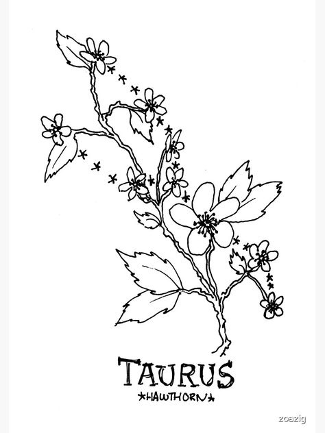 Taurus Flower, Taurus Poster, Floral Constellation, Taurus Journal, Coffee Cup Tattoo, Pisces Constellation Tattoo, Aquarius Constellation Tattoo, Taurus Constellation Tattoo, Virgo Constellation Tattoo