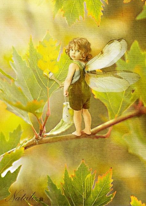 11/5/16 Elves And Fairies, Fairy Dragon, Fairy Pictures, Fairy Friends, Love Fairy, Fairies Elves, Fairy Magic, Flower Fairies, Beautiful Fairies