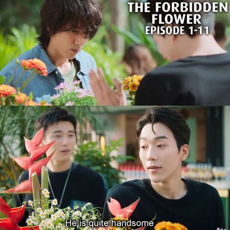 The Forbidden Flower (2023) Episode 11 The Forbidden Flower, Forbidden Flower, Jerry Yan, Melodrama, 20 Years Old, A Sea, Drama, Romance, Take That