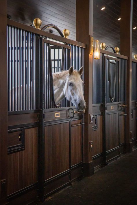 Stable Inspiration, Luxury Horse Stables, Luxury Horse Barns, Equine Facility, Dream Barn Stables, Luxury Horse, Equestrian Barns, Horse Barn Ideas Stables, Horse Barn Designs