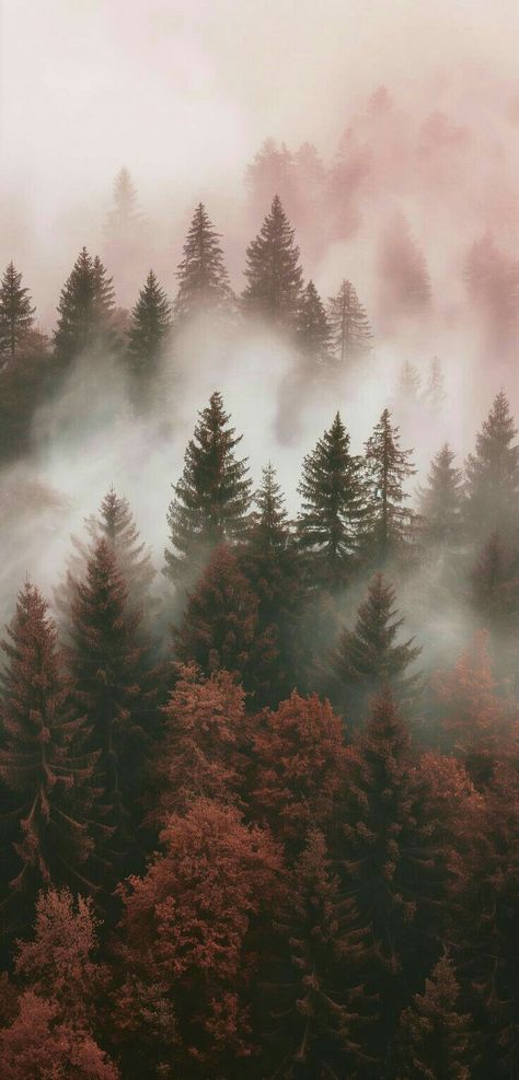 Hygge Iphone Wallpaper, Cozy Winter Iphone Wallpaper, Woods Wallpaper Iphone, Iphone Neutral Wallpaper, Sweater Weather Aesthetic Wallpaper, Cute Backgrounds Aesthetic Landscape, Nordic Wallpaper, Iphone Wallpaper Mountains, Woods Wallpaper