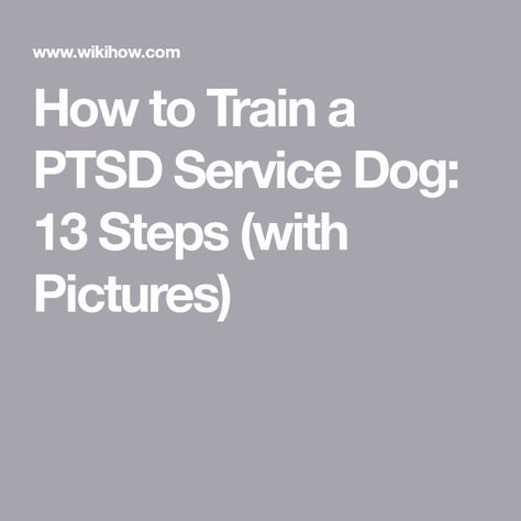 Psychiatric Service Dog, Service Dogs Gear, Service Dog Training, Reactive Dog, Emotional Support Dog, Assistance Dog, Dog Info, Dog Help, Stressful Situations