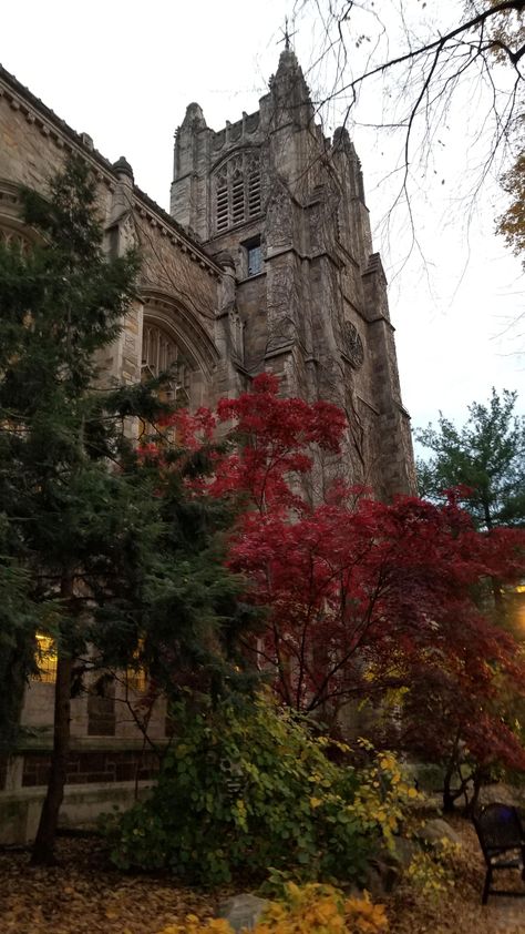 Anne Arbor Michigan, University Of Michigan Law School, Michigan Law School, University Of Michigan Ann Arbor, Ann Arbor Aesthetic, Ann Arbor Michigan Aesthetic, University Of Michigan Aesthetic, College Manifestations, Campus Photography