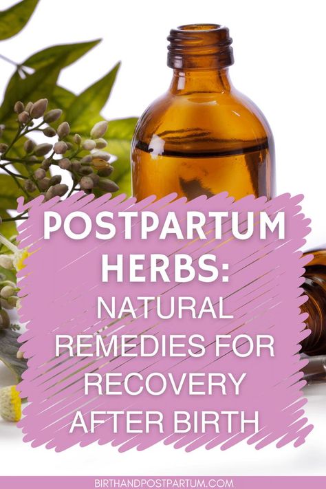 In the postpartum period, the weeks following childbirth, your body undergoes numerous changes as it heals and adjusts to no longer being pregnant. It’s a time where rest is crucial, and finding ways to nourish and support your body is key to your recovery. Herbal medicine, including postpartum herbs, offers a gentle, natural approach to postpartum care. Happy Pregnancy, Natural Delivery, Being Pregnant, Morning Sickness, Postpartum Care, Postpartum Recovery, Pregnancy Tips, Make It Through, Herbal Medicine