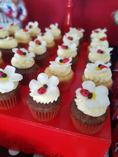 Ladybug Cupcakes Ideas, Ladybug 1st Birthday Party Ideas, Lady Bug Baby Shower Theme Girl, Ladybug Cake Ideas, Ladybug Treats, Ladybug First Birthday Party, Bug Birthday Party Ideas, Cupcakes Ladybug, Ladybug Theme Party