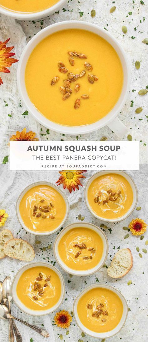 Copycat Squash Soup Panera, Butternut Squash Acorn Squash Soup, Vegetarian Squash Soup, Panera Fall Squash Soup, Panera Copycat Recipes Soup Butternut Squash, Butternut Squash Soup For Two, Copycat Panera Bread Autumn Squash Soup, Copycat Butternut Squash Soup Panera, Autumn Harvest Soup Panera