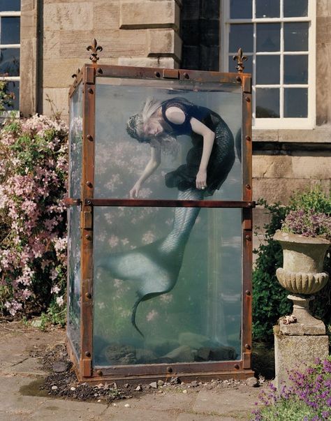 Mermaid Photoshoot, Tim Walker Photography, Kristen Mcmenamy, Steampunk Tendencies, Editorial Inspiration, Dark Princess, Ange Demon, Tim Walker, Mermaid Aesthetic