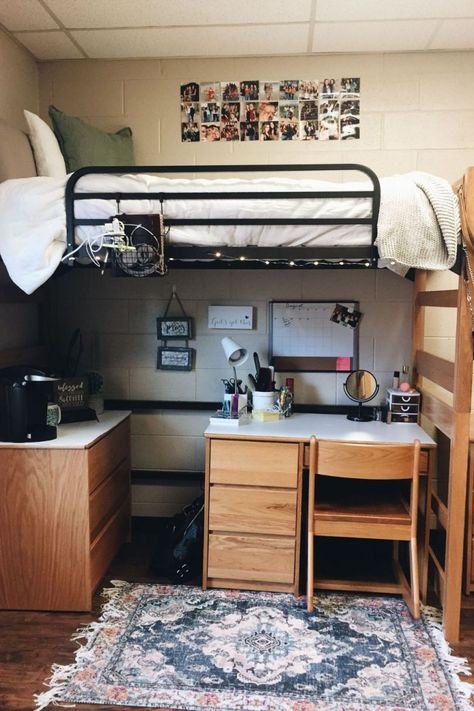 These are the best dorm room ideas for guys I have found online. They are easy to copy and you can try them for cheap. Definitely saving for later. Lofted Beds, Lofted Dorm Beds, Guy Dorm Rooms, College Dorm Room Ideas, College Bedroom Decor, Dorm Room Layouts, College Dorm Room Inspiration, Dream Dorm Room, Small Dorm