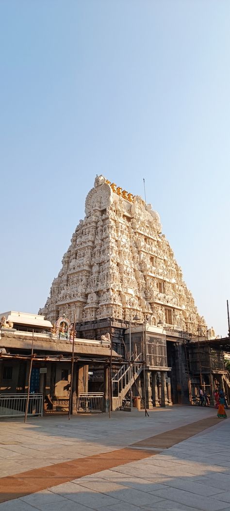 Kanchi Kamakshi Temple, Kanchi Kamakshi Amman, Kanchipuram Temple, Kamakshi Amman, Kanchi Kamakshi, Shri Yantra, Views Video, Cotton Kurti Designs, Cotton Kurti