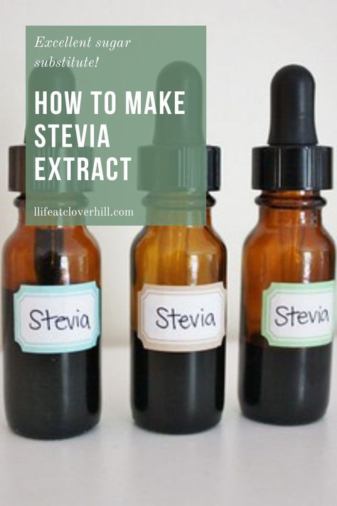 Stevia is a naturally sweet herb, which is a great substitute for sugar as it has no calories and doesn’t affect your blood sugar. Learn how to make your own at home with only 6 items! #lifeatcloverhill #stevia #diy #homemade #sugaralternatives How To Make Syrup, Substitute For Sugar, Oatmeal Protein Pancakes, Stevia Recipes, Dr Livingood, Preserving Herbs, Carrot Cake Oatmeal, Kitchen Skills, Autoimmune Paleo