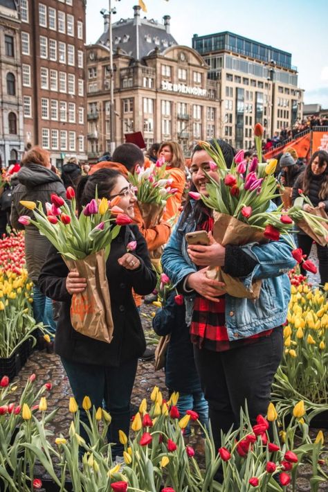 National Tulip Day in Amsterdam in Photos » Roselinde City Fashion Shoot, Day In Amsterdam, Amsterdam Tulips, Amsterdam Itinerary, Dam Square, City Fashion, Illustration Ideas, Amsterdam Travel, Amsterdam City