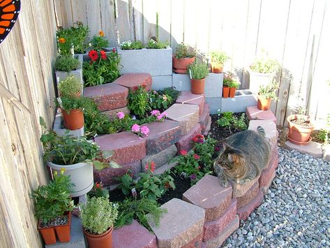 Corner Flowerbed, Corner Flower Bed, Backyard Planting, Brick Flower Bed, Garden Corner Ideas, Corner Landscaping, Sophisticated Garden, Honeysuckle Vine, Corner Ideas