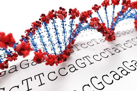 DNA background. Red and blue DNA helix , #SPONSORED, #background, #DNA, #Red, #helix, #blue #ad Dna Fingerprinting, Dna Methylation, Human Embryo, Genome Sequencing, Human Genome, Gene Therapy, Fatigue Syndrome, Chronic Fatigue, Biotechnology