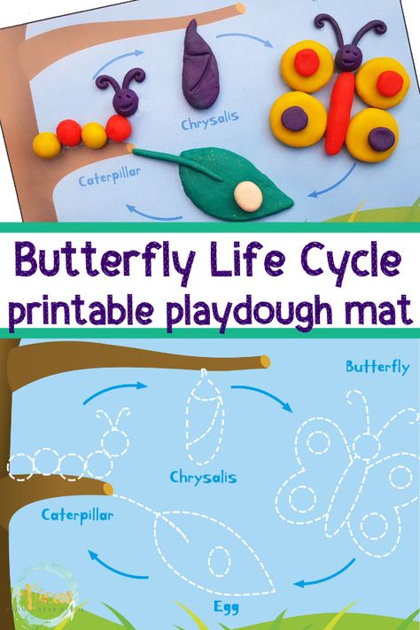 This butterfly playdough mat will show your little one all about the life cycle of the butterfly. It's educational and fun! #butterflyplaydoughmat #sensoryplay #butterflylifecycle #kidsactivities #viewsfromastepstool Play Dough Butterfly, Bug Playdough Mats, Butterfly Steam Activities, Caterpillar Life Cycle Preschool, Butterfly Playdough, Life Cycles Preschool, Butterfly Life Cycle Activity, Butterfly Life Cycle Craft, Butterfly Lessons