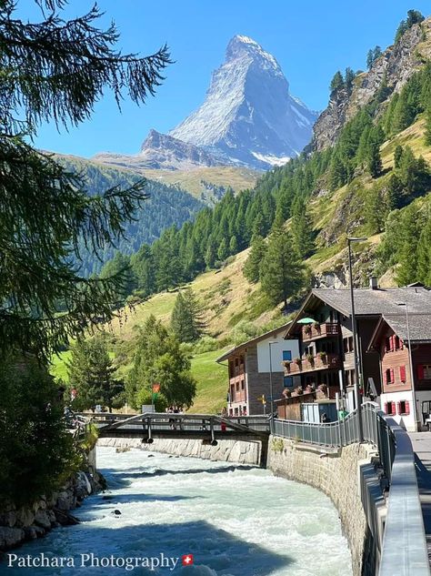 Alpine Flowers, Zermatt Switzerland, Zermatt, The Mountain, Austria, Switzerland, Hiking, Lake, Italy