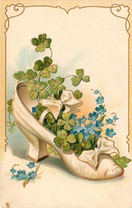 Vintage St Patricks, St Patrick's Day Cards, St Patricks Day Cards, Vintage Holiday Cards, St Patrick's Day Decorations, White Shoe, St Pats, Forget Me Nots, St Paddys Day