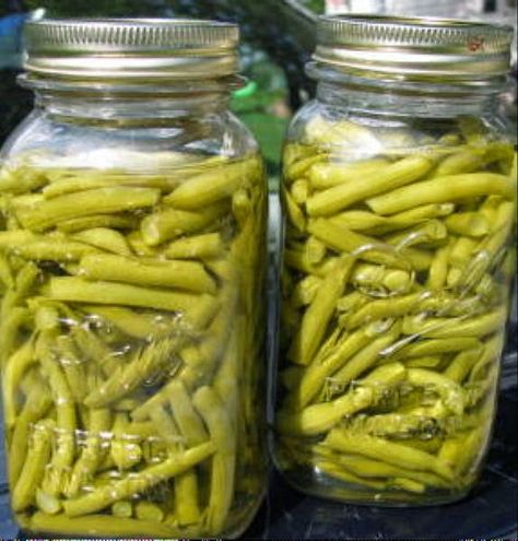 Preserving Green Beans, Canned Green Bean Recipes, Canning Green Beans, Canning Beans, Canning Water, Hot Water Bath Canning, Water Bath Canning Recipes, Pickled Green Beans, Easy Canning