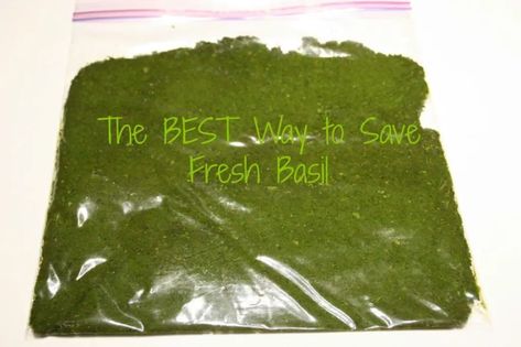 Basil Storage, Basil Ideas, Storing Basil, Preserving Basil, Keto Condiments, Freezing Herbs, Basil Recipes, How To Make Pesto, Sweet Basil