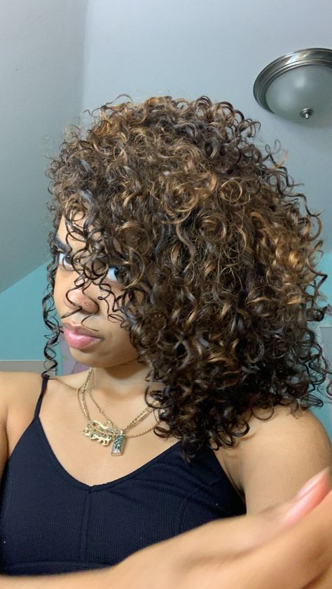 Curly Hair 3b/3c Highlights, Curly Dyed Hair Natural Curls, Baddies Hairstyle, Curly Highlights, Dyed Curly Hair, Silk Press Natural Hair, Curly Hair Care Routine, Highlights Curly Hair, Diy Hair Color