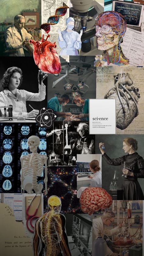 #science #biology #scientist #physics #chemistry #wishlist Science Collage Aesthetic, Vision Board Scientist, Science Aesthetic Collage, Scientists Wallpaper, Biology Collage, Science Moodboard, Subject Aesthetic, Biology Wallpaper, Science Collage