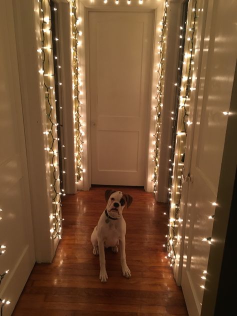 Christmas Decor Doorway Inside, Christmas Light Indoor Ideas, Christmas Hallway Lights, Interior Christmas Light Ideas, Doorway Decor Christmas, Half Wall Christmas Decor, Hallway Ornaments, Christmas Lights In Hallway, Cozy Christmas Decor Living Room