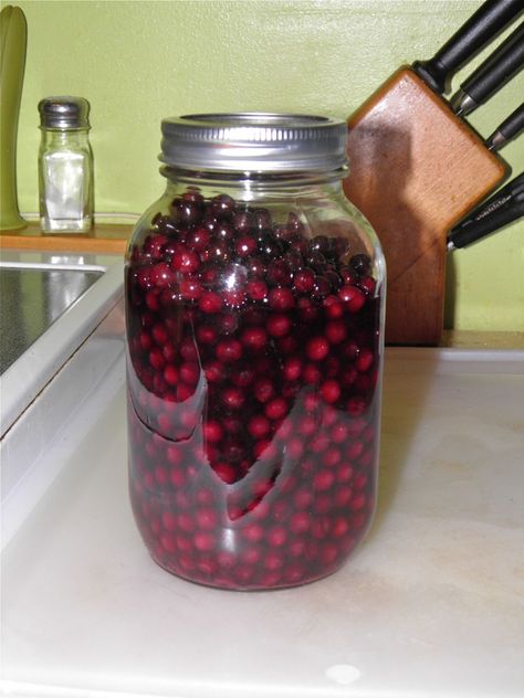 Devoid Of Culture And Indifferent To The Arts: Booze of the Week: Pucker up, it’s Chokecherry Liqueur Bottled Grape Juice, Pickled Grapes Canning, Canning Whole Grapes, Can Grape Juice, Canning Recipes For Grapes, Grape Canning Ideas, Muscadine Grape Juice Recipe, Home Made Grape Juice, Making Grape Juice