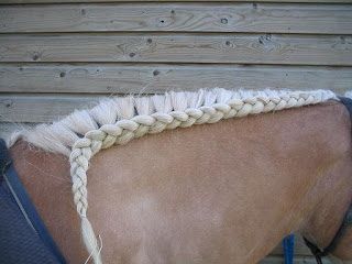 Running Braid Horse, Running Braids, Mane Braids, Horse Hairstyles, Horse Braids, Horse Mane Braids, Horse Hair Braiding, Horse Tack Diy, Horse Braiding