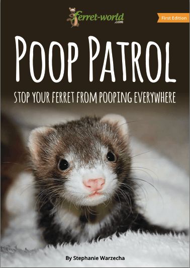 Ferret poop everywhere? Time to stop the mess. Get everything you need to potty train your ferret now. Grab your copy of the "Poop Patrol" ebook today! Diy Ferret Stuff, Ferret Tips, Ferret Diy, Ferrets Care, Ferret Toys, Ferret Cage, A Ferret, Pet Ferret, Cute Ferrets