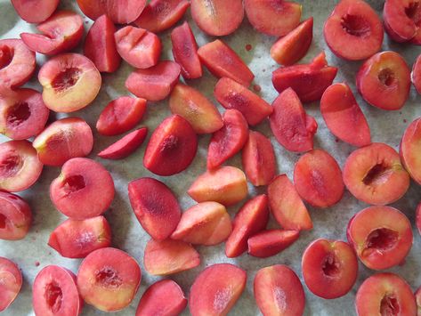 How to freeze plums | Rediscover Freeze Plums How To, Freezing Fresh Plums, How To Freeze Fresh Plums, Freeze Dried Plums, How To Freeze Plums, Freezing Plums, Plum Preserves, Freezing Fruit, Plum Recipes