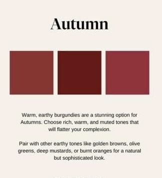 Autumn Soft, Autumn Color Palette, Colour Analysis, Dark Autumn, Soft Autumn, Autumn Colors, Soft Summer, Favorite Season, Earthy Tones