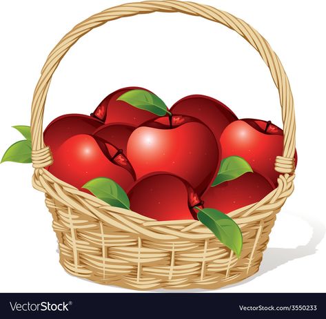 Red apples in a basket isolated on white Vector Image Basket With Apples Drawing, Apple Basket Drawing, Apples In A Basket, Autumn Basket, Basket Of Apples, Apple Basket, Ladybug Decorations, Apple Vector, Fruit Clipart