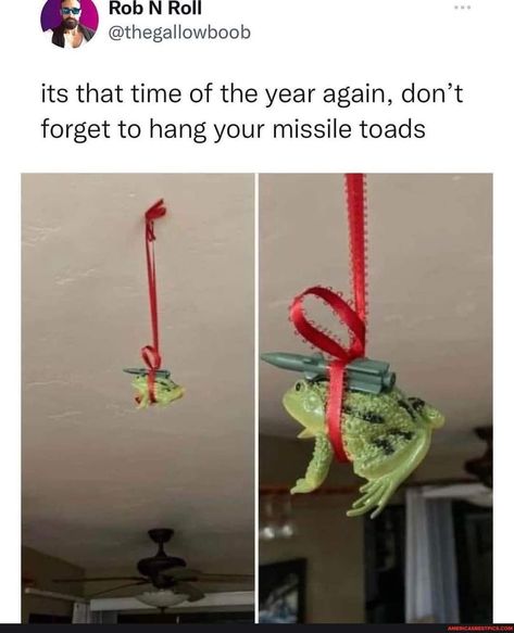 Christmas Memes Funny, Christmas Memes, Wholesome Memes, Toad, Christmas Cheer, Time Of The Year, Tis The Season, Macrame Plant Hanger, Christmas Humor