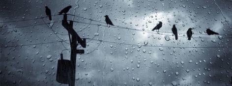 fb cover photos rainy paris - http://wallpapersko.com/fb-cover-photos-rainy-paris.html  HD Wallpapers Download Rain Cover Photo Facebook, Rain Cover Photo, Wallpaper Birds, Rainy Paris, Weather Quotes, Quiet Storm, Fb Cover Photos, Fb Cover, Facebook Timeline