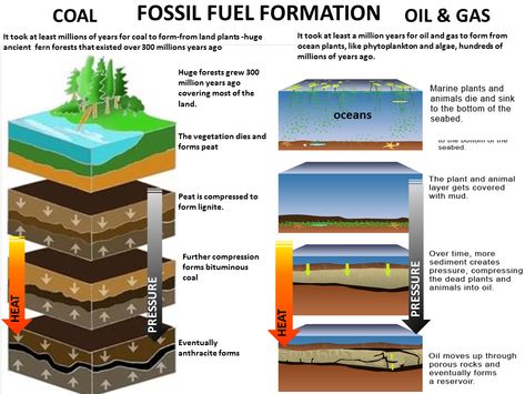 Physics: Energy Conversion and Fossil Fuels Coal Formation, Science Exhibition Ideas, Earth Science Lessons, Thermal Power Plant, Carbon Sink, Study Flashcards, What Is Science, Potential Energy, Nuclear Energy