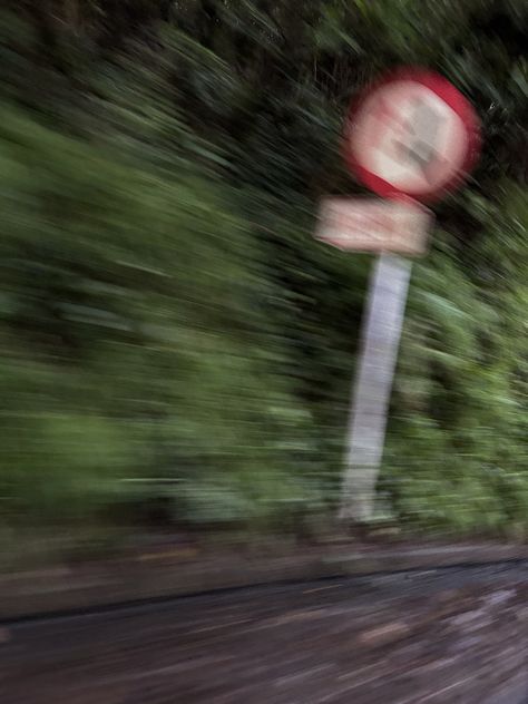 #nature #aesthetic #roadsign #roadcore #naturecore Rotting Aesthetic, Aesthetic Road, College Dropout, Road Sign, Indie Aesthetic, Road Signs, Nature Aesthetic, Cool Names, Soulmate