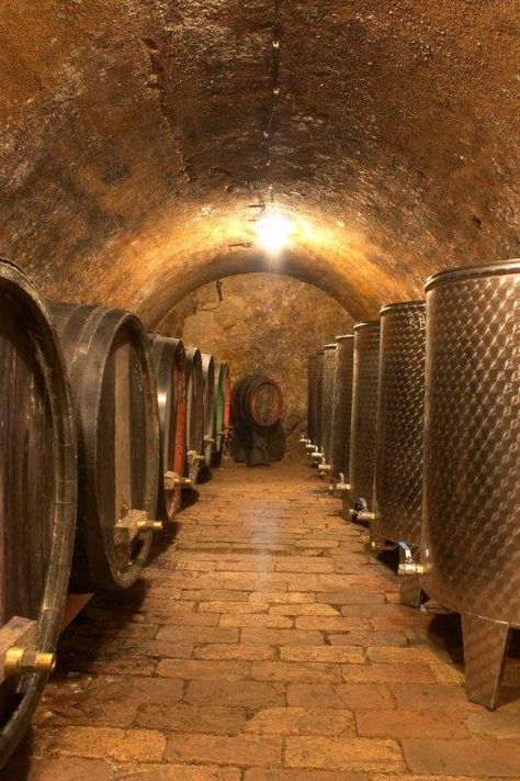 Winery Wine Course, Live Abroad, Wine Cave, Wine Vineyards, Wine Barrels, Decorative Concrete, Wine Time, Wine And Dine, Wine Room