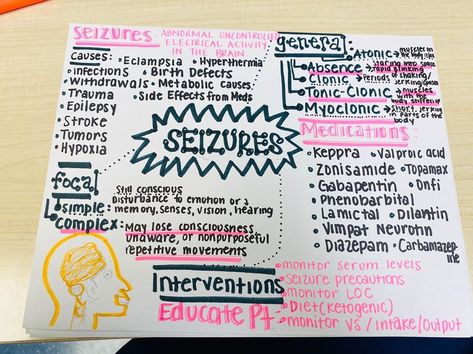 SHAN |Registered NURSE| on Instagram: “Seizure Notes Refresher 👩🏽‍⚕️📝💕 #studygram #nursingschool #nursingstudent #futurenurse #studentnurse #studygram #rn #bsn #adn #nclex…” Sensory Nursing Notes, Seizures Nursing Notes, Seizures Nursing, Introvert Tattoo, Nurse Notes, Bappa Photo, Medical Assistant Student, Nurse Study, Nclex Pn