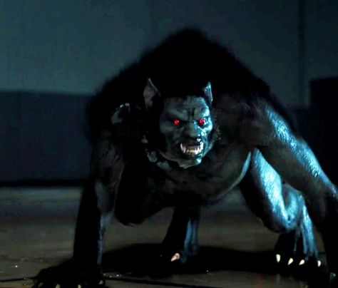 Alpha werewolves in MTV's "Teen Wolf." Leader of its pack and ability to partial transform into bipedal or fully transform into quadrupedal form. Oni Teen Wolf, Werewolf Alpha, Teen Wolf Peter, Argent Teen Wolf, Teen Wolf Werewolf, Werewolf Stories, Alpha Werewolf, Werewolf Aesthetic, Peter Hale