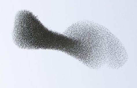 Swarm theory Starling Murmuration, Swarm Intelligence, Collective Intelligence, Citizen Science, Self Organization, Flock Of Birds, Organizing Systems, Simple Rules, Starling