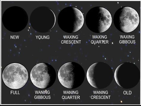 Moon phases in picture - waxing and waning - crescent and gibbous  -  picture only Crescent Moon Tattoo Meaning, The Phases Of The Moon, Crescent Moon Tattoo, Oh My Goddess, Phases Of The Moon, Moon Cycles, Moon Magic, Moon Goddess, Moon Tattoo