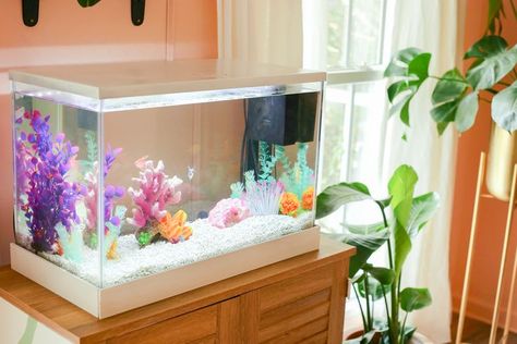 Small Fish Tank Decor, Betta Fish Tank Decorations, Home Aquarium Ideas Living Room, White Fish Tank Ideas, Pretty Aquariums, Girly Fish Tank Ideas, Colorful Fish Tank Ideas, Pretty Fish Tank Ideas, Fish Tank Decor Ideas