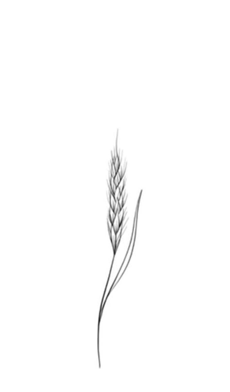 Wheat Tattoos For Women, Barley Tattoo, Wheat Drawing, Line Art Patterns, Farm Tattoo, Wheat Tattoo, Pencil Tattoo, Matching Friend Tattoos, Iris Tattoo