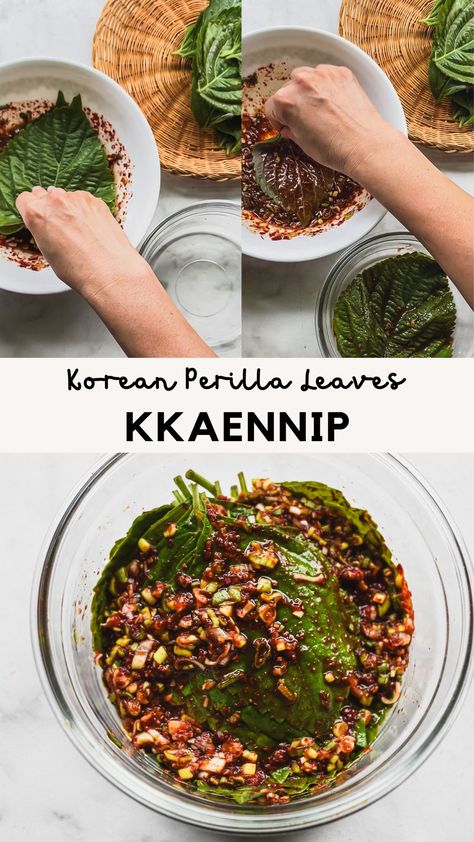 korean perilla leaves (kkaennip) in glass bowl with hands dipping perilla leaves into sauce Korean Perilla Leaves Recipe, Perilla Leaves Recipes, Korean Sides, Perilla Leaves, Korean Side Dishes, Fusion Dishes, Korean Dishes, So Fresh, Authentic Recipes