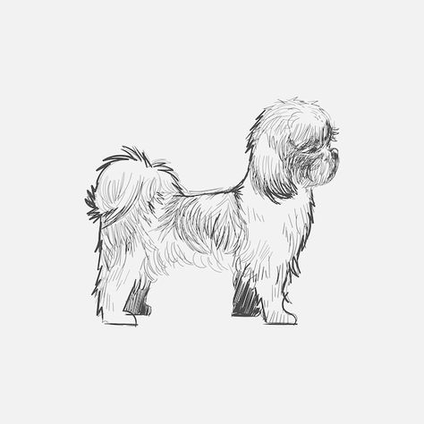 Paw Cartoon, Angel Cartoon, Perro Shih Tzu, Puppy Sitting, Vector Icons Illustration, Drawing Style, Boston Terrier Dog, Shih Tzu Puppy, Shih Tzu Dog