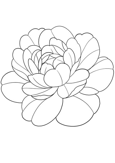 Dahlia Tattoo Design, Dahlia Embroidery, Brush Photoshop, Peony Tattoo, City Flowers, Chicano Art Tattoos, Peonies Tattoo, Cute Tattoos For Women, 1 Tattoo