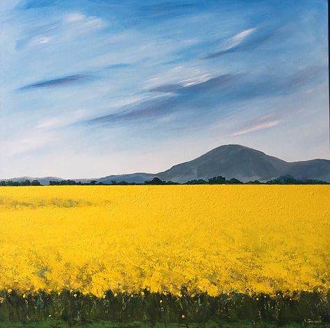 Canola Field, Turner Painting, Australia Landscape, Farm Paintings, Landscape Abstract, Country Paintings, Art Yellow, Australian Artists, Art Block