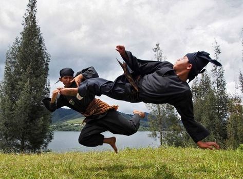 Folklore Stories, Best Martial Arts, Hand To Hand Combat, Pencak Silat, Martial Arts Styles, Mythology Art, Martial Artist, Martial Art, Action Poses