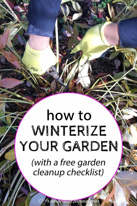 How To Winterize Your Garden (With a Fall Garden Cleanup Checklist) Winter Garden Ideas, Homestead Garden Layout, Hydrangea Vine, Ranch Landscaping, Garden Prepping, Trumpet Lily, Autumn Clematis, Fall Clean Up, Fall Bulbs