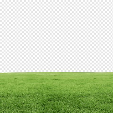 Grass Png Hd, Grass Landscape Design, Grass Images, Grass Photoshop, Computer Png, Grass Png, Cartoon Grass, Grass Landscaping, Png Wallpaper